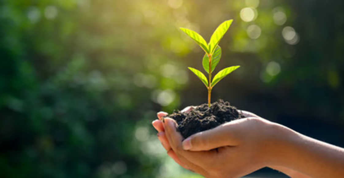 Chhattisgarh Pioneers Green GDP Initiative: Some Consideration Towards Sustainable Development