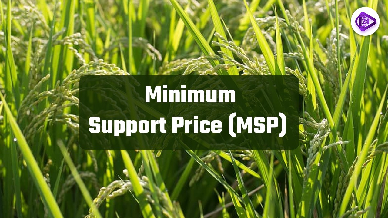 MSP Reform: Farmer Income Security and the Call for Legal Guarantees