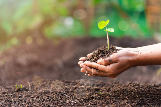 Soil Fertility Mapping in India: Transforming Agriculture with Digital Insights