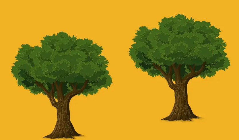 International Day of Forests (IDF) 2025: Theme, Importance & Initiatives in India