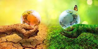 India’s Carbon Offset Plan: Driving Climate Action Through Voluntary Emission Reduction