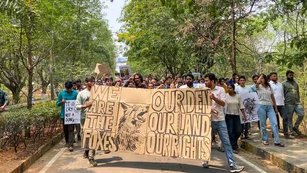 Understanding the Kancha Gachibowli Protests: What Lives in Kancha Gachibowli? A Closer Look at Hyderabad’s Urban Forest