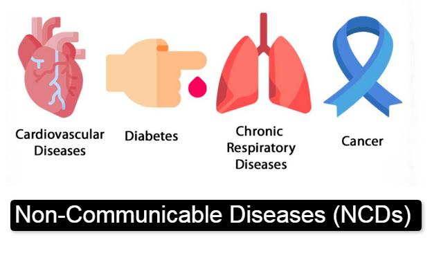 Rising Burden of Non-Communicable Diseases (NCDs) in India