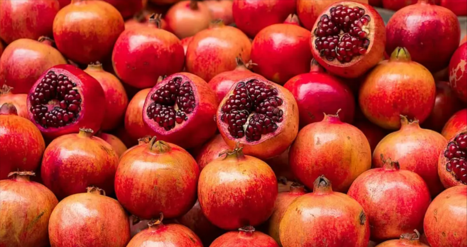 India Marks Export Milestone with First Sea Shipment of Bhagwa Pomegranates to the U.S.