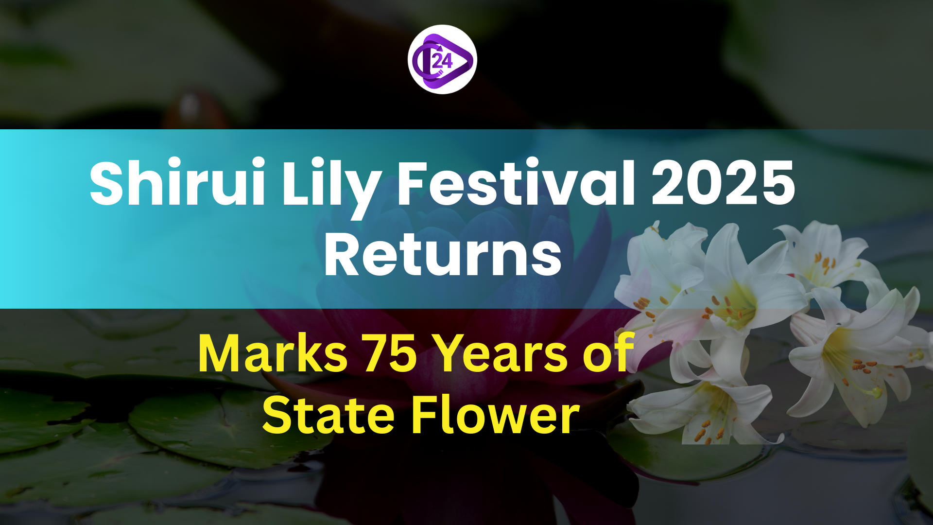 Shirui Lily Festival 2025 Returns, Marks 75 Years of State Flower