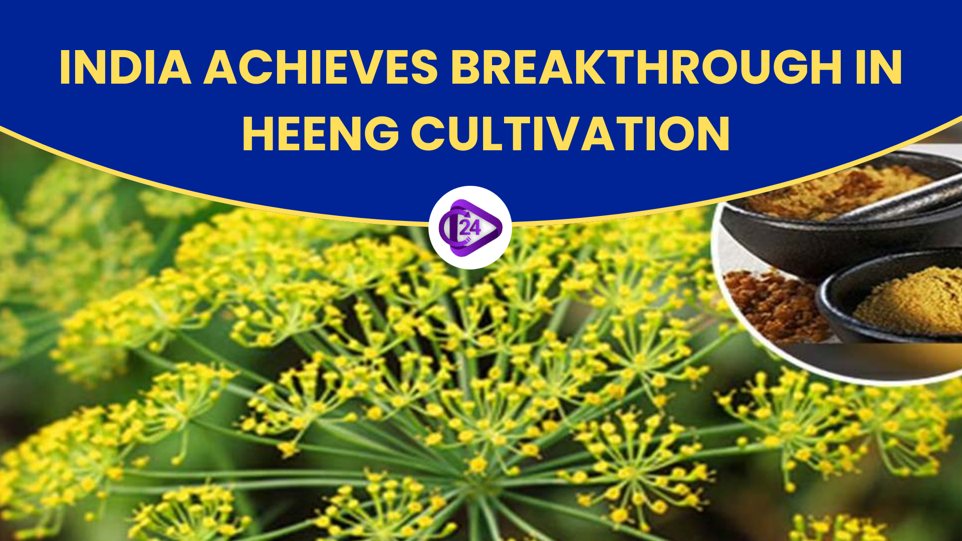 India Successfully Cultivates Heeng: A Breakthrough in Domestic Production