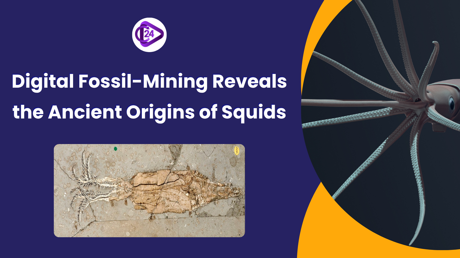 Digital Fossil-Mining Reveals the Ancient Origins of Squids