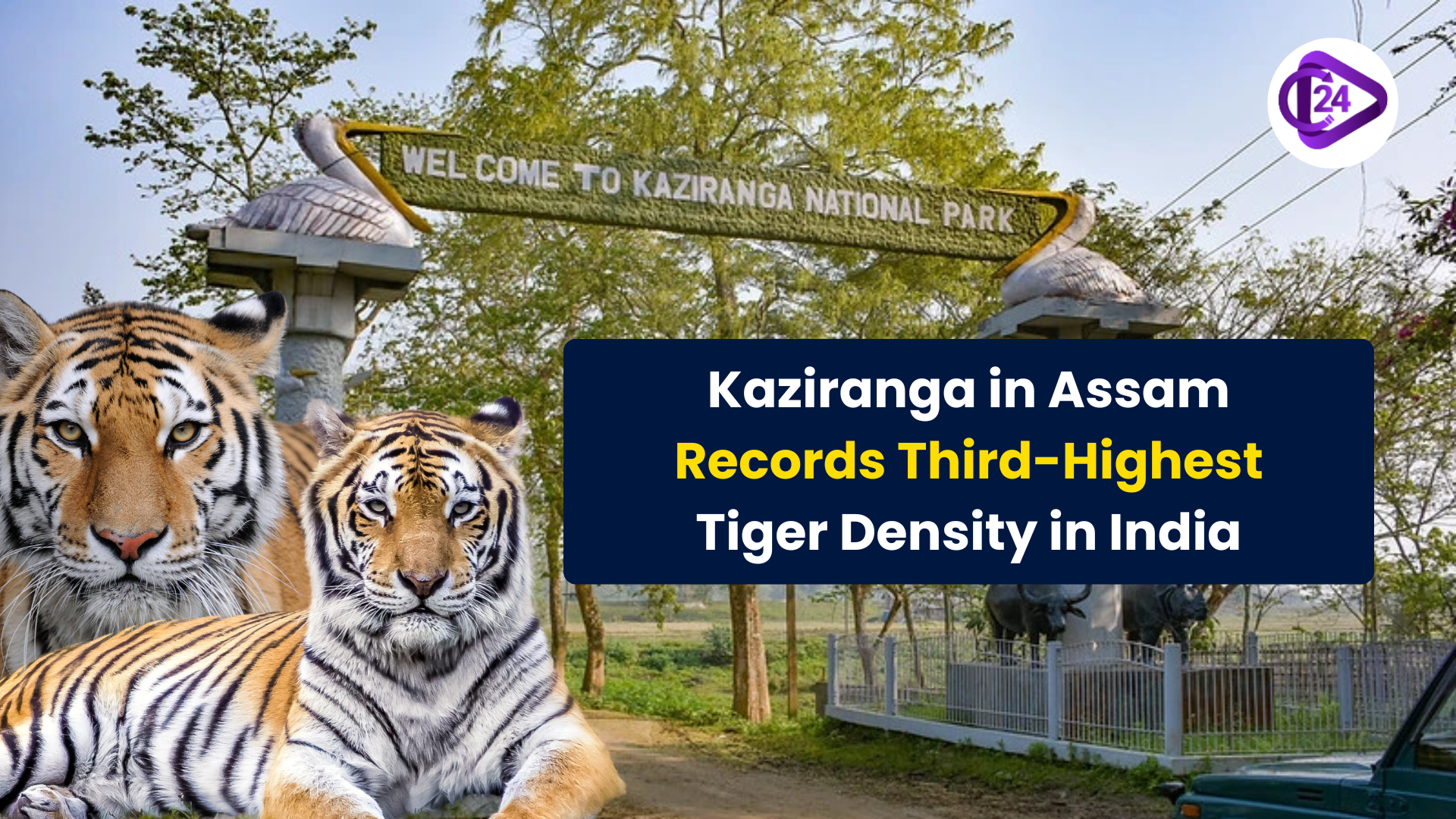 Kaziranga in Assam Records Third-Highest Tiger Density in India