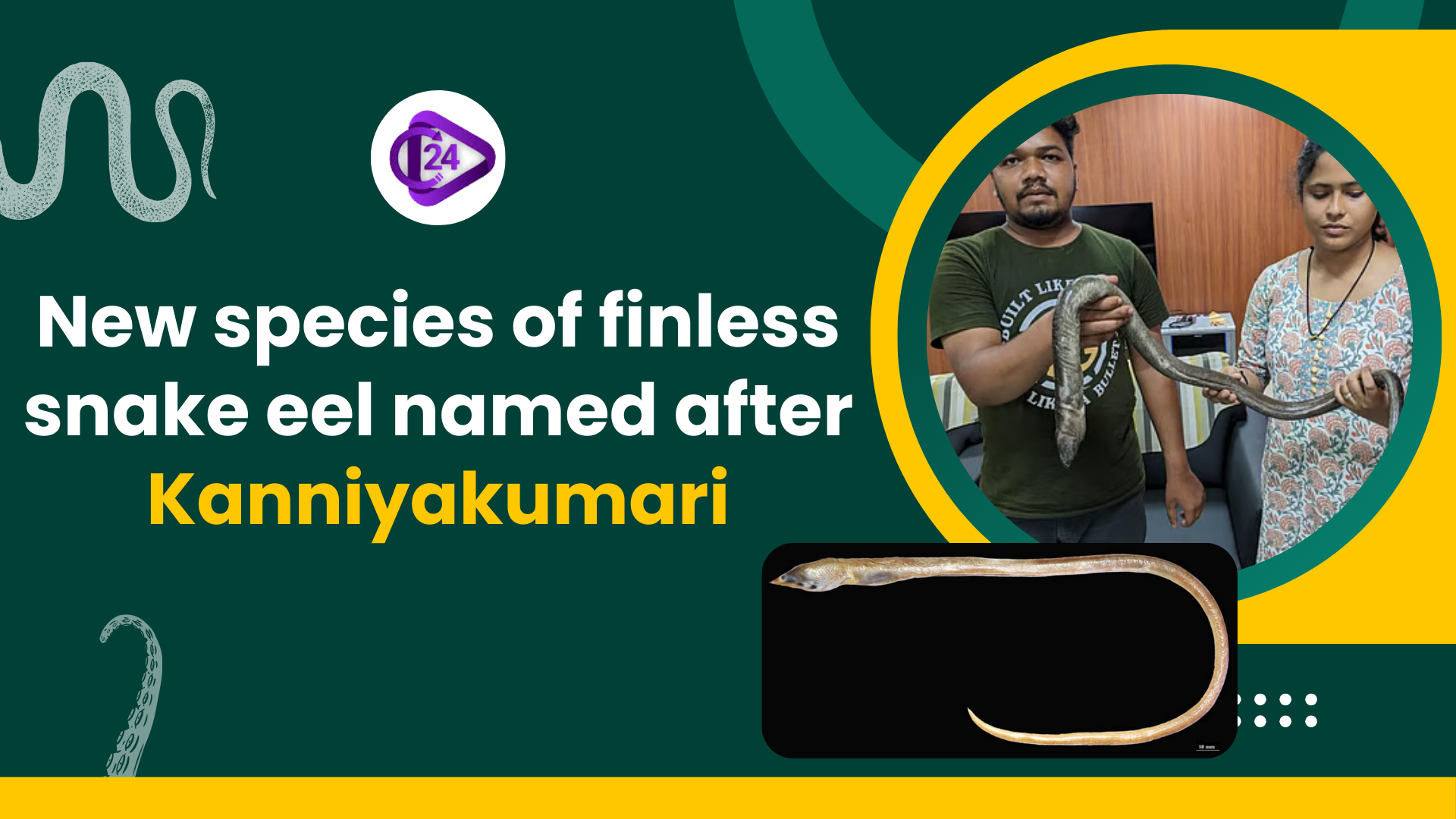 New Finless Snake Eel Species Apterichtus kanniyakumari Discovered off Tamil Nadu Coast