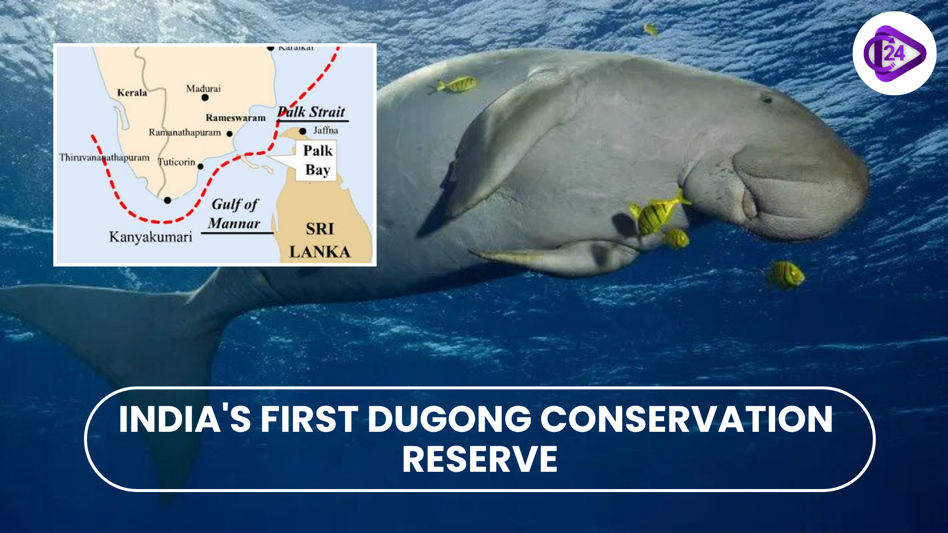 IUCN Recognizes India’s First Dugong Conservation Reserve in Tamil Nadu