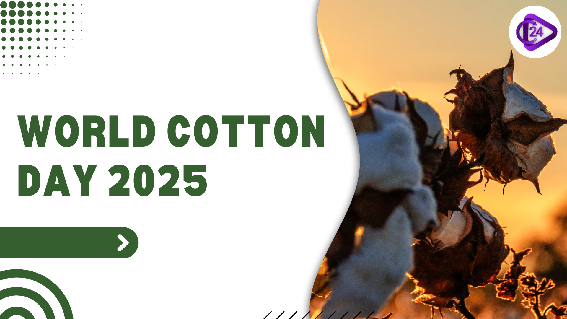 World Cotton Day 2025: International Awareness About Cotton and Its Benefits