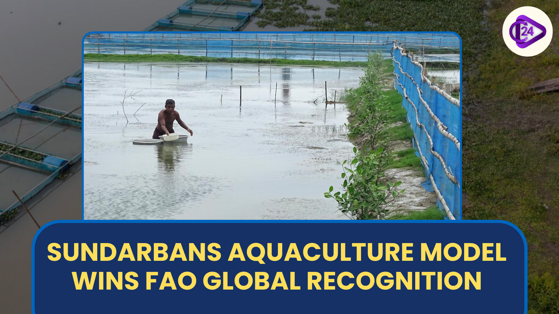 Sundarbans Aquaculture Model Wins FAO Global Recognition for Sustainability