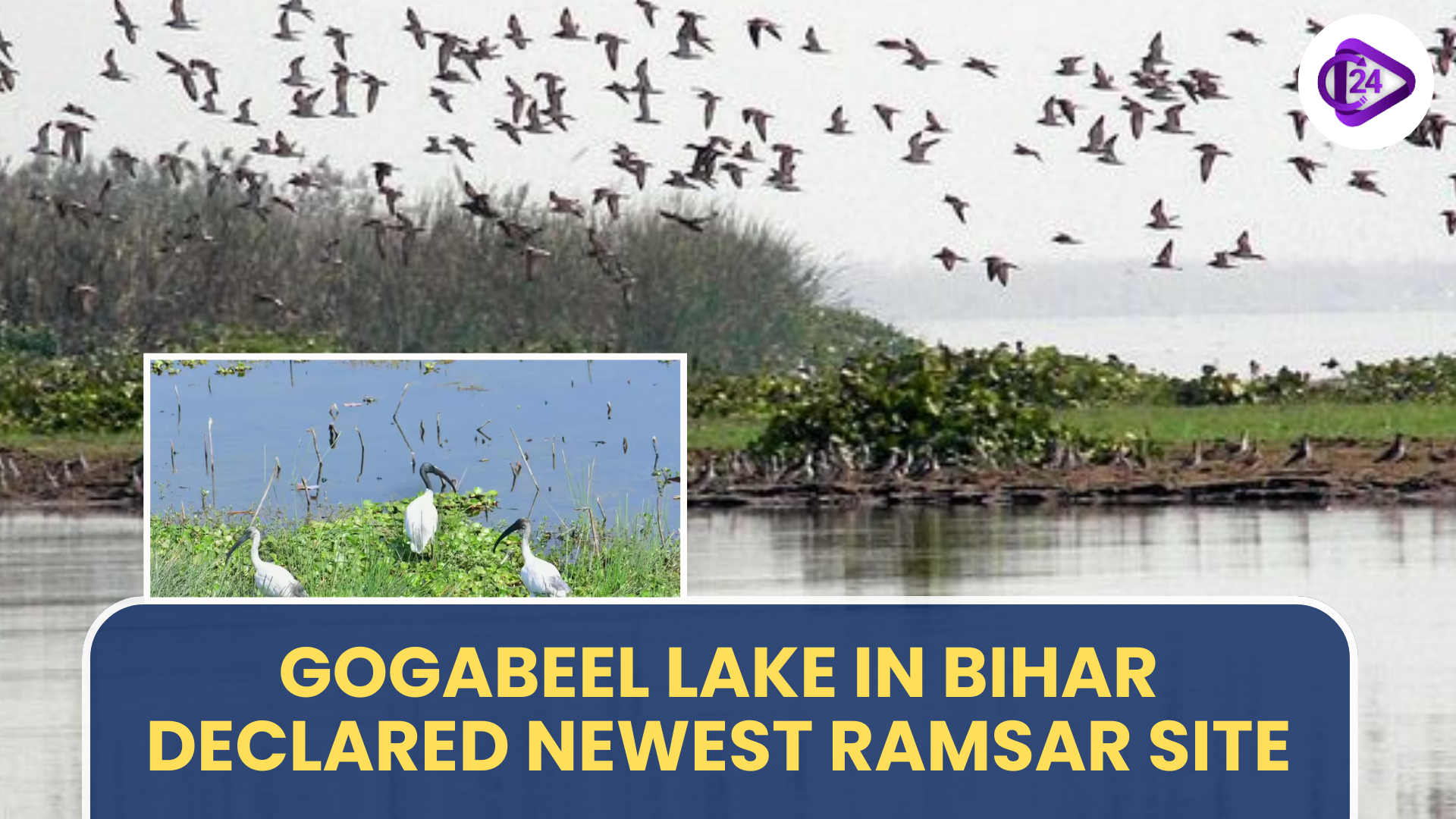 Gogabeel Lake Achieves Ramsar Status for Biodiversity and Conservation