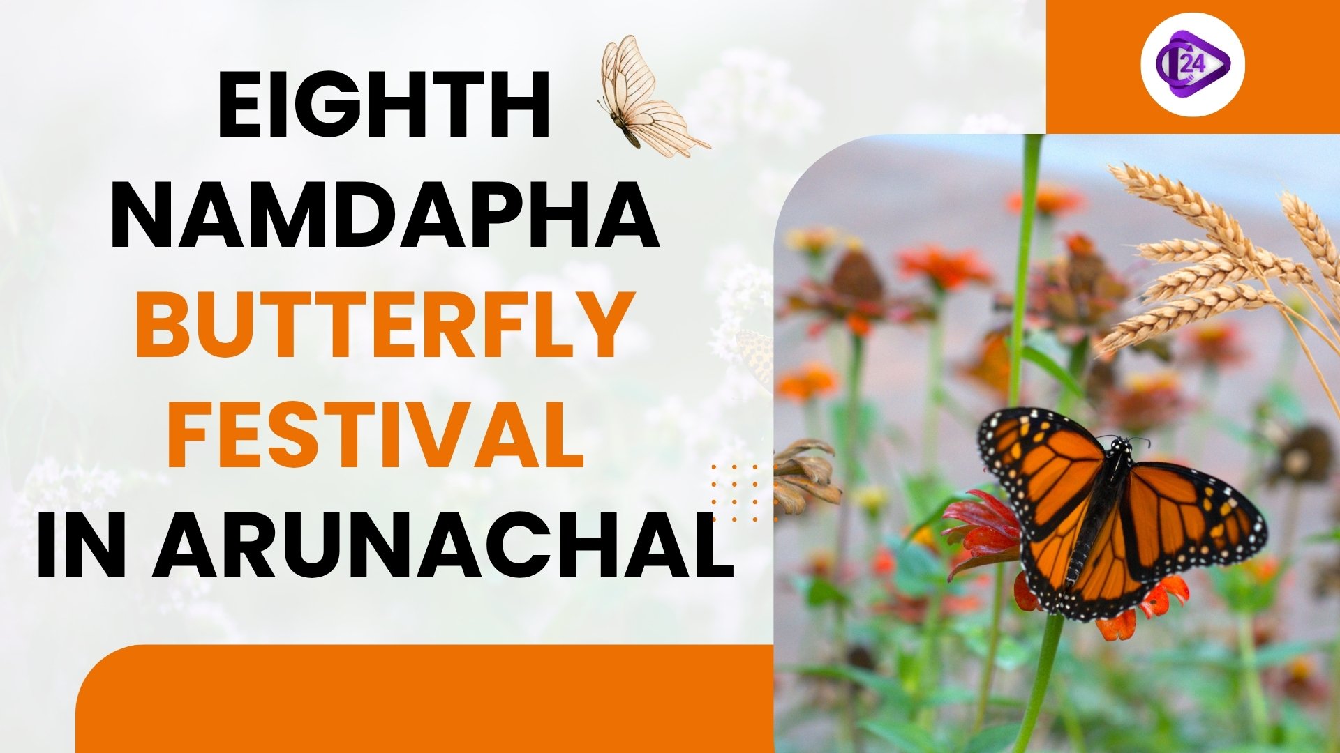Namdapha Butterfly Festival Showcases the Wild Heart of Arunachal Pradesh