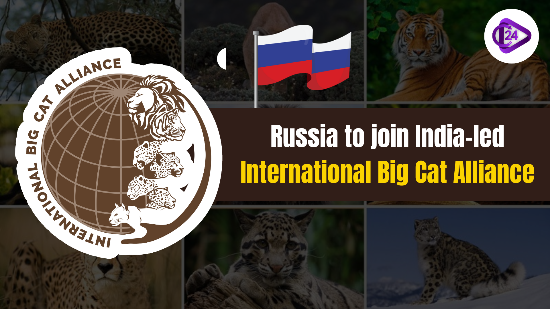 Russia to Join India-led International Big Cat Alliance
