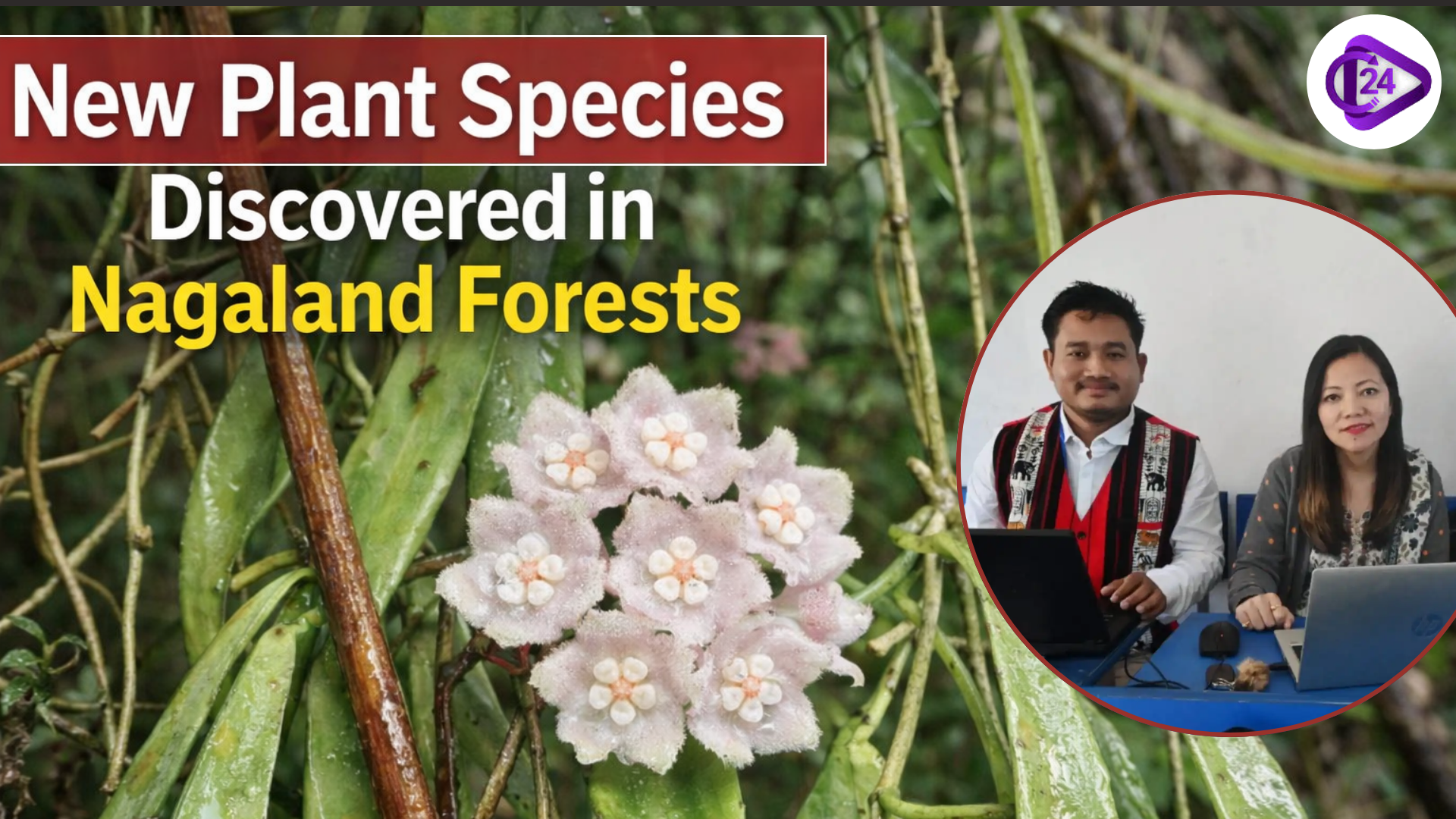 New Plant Species Recorded in Nagaland Community Forest