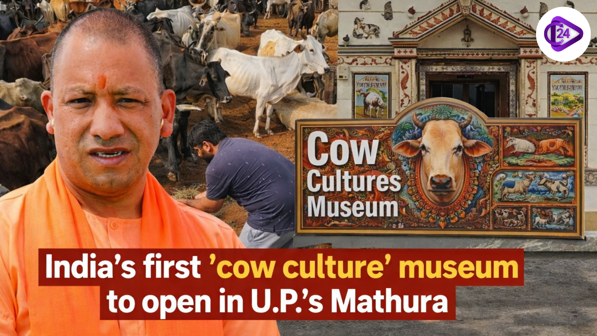 India's First ‘Cow Culture’ Museum to Open in U.P.'s Mathura