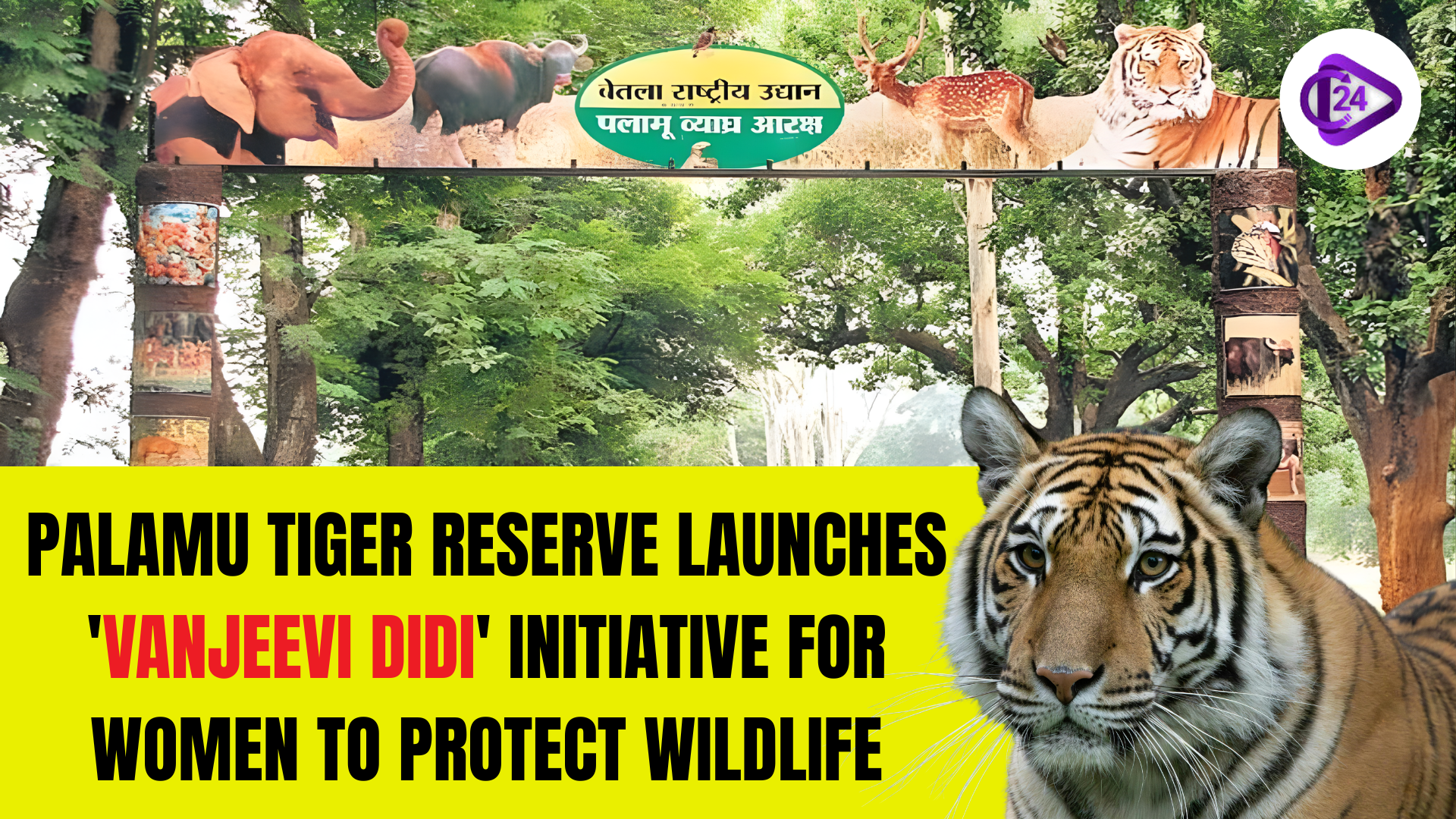 Vanjeevi Didi Scheme at Palamu Tiger Reserve