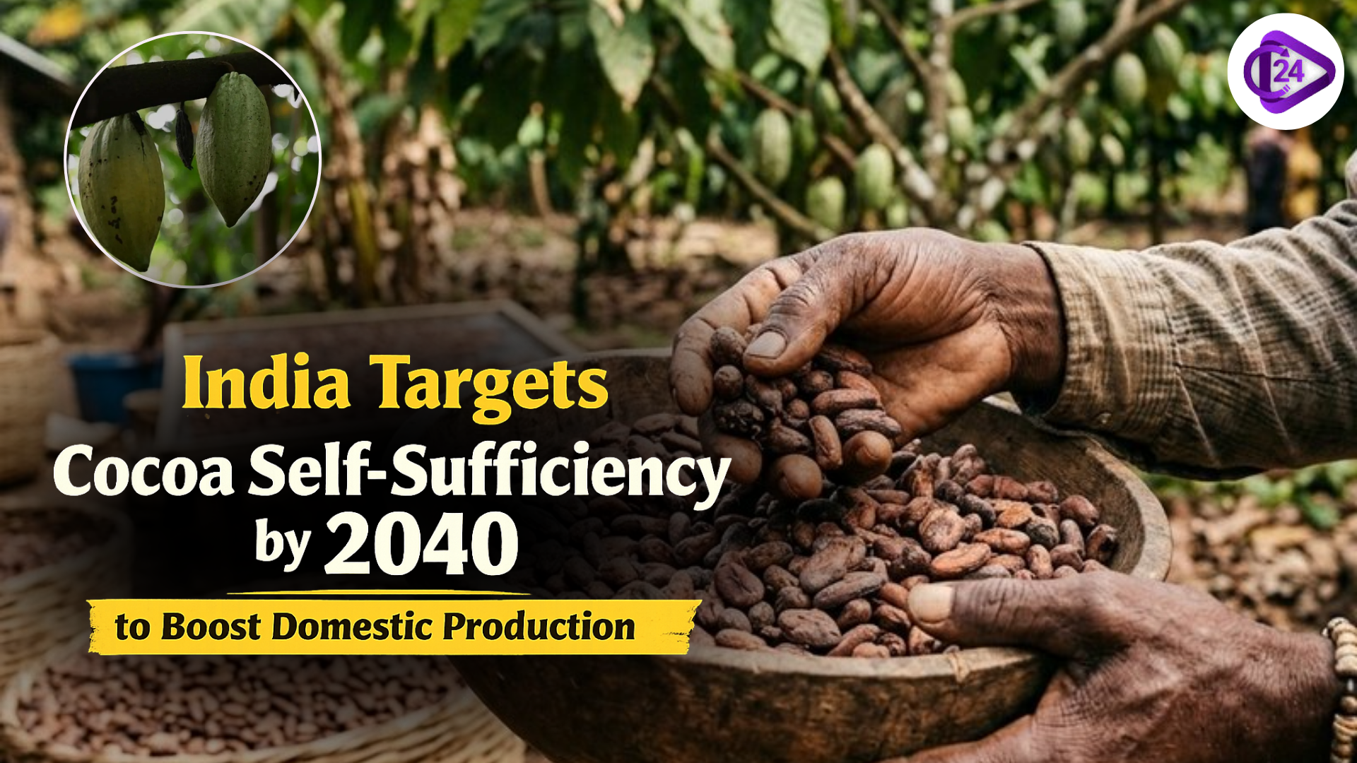 India Targets Cocoa Self-Sufficiency by 2040 to Boost Domestic Production