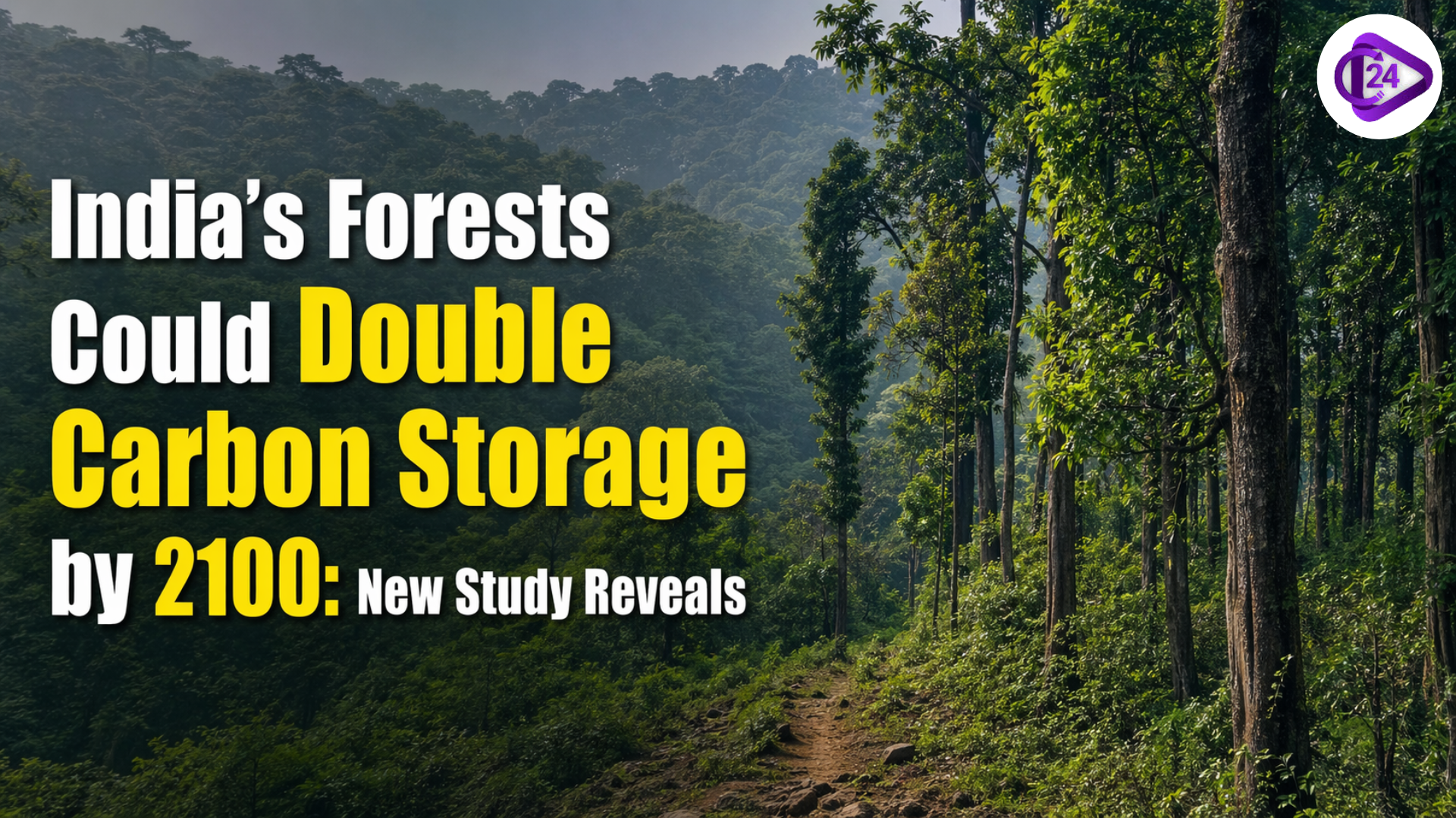 India’s Forests Could Double Carbon Storage by 2100: New Study Reveals
