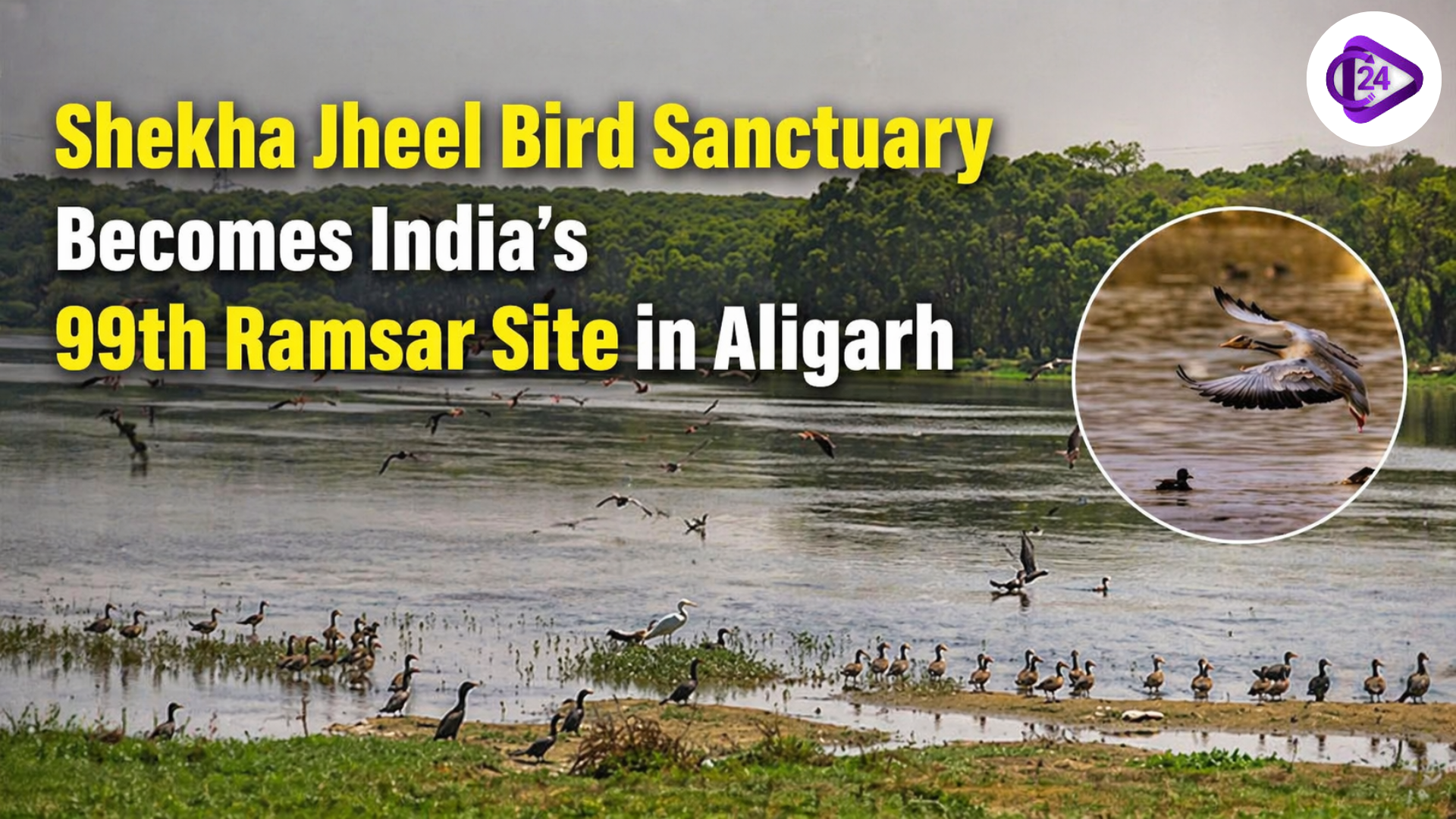 Shekha Jheel Bird Sanctuary Becomes India’s 99th Ramsar Site in Aligarh