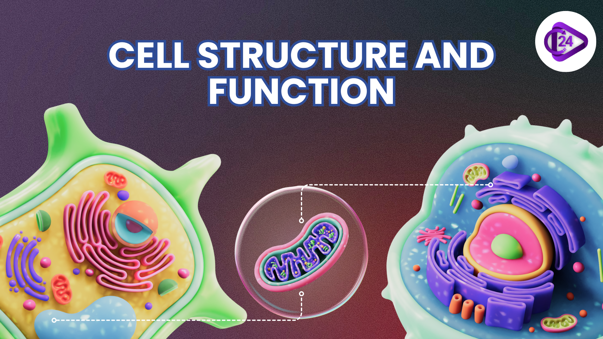 Cell Structure and Function