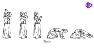 Sijada and Paibos