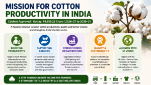 Cotton Productivity
