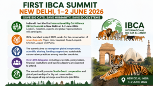 IBCA Summit