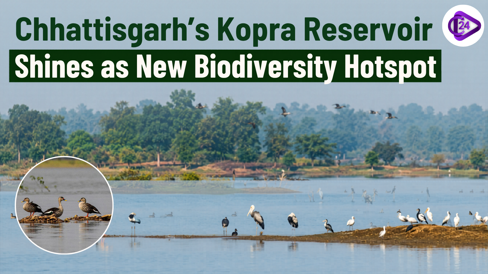 Biodiversity Hotspot