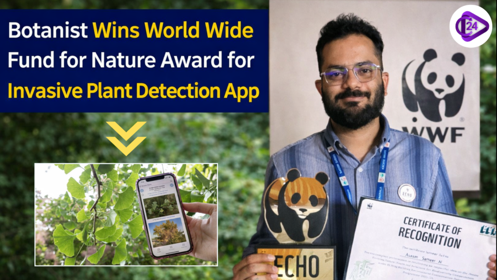 WWF Award