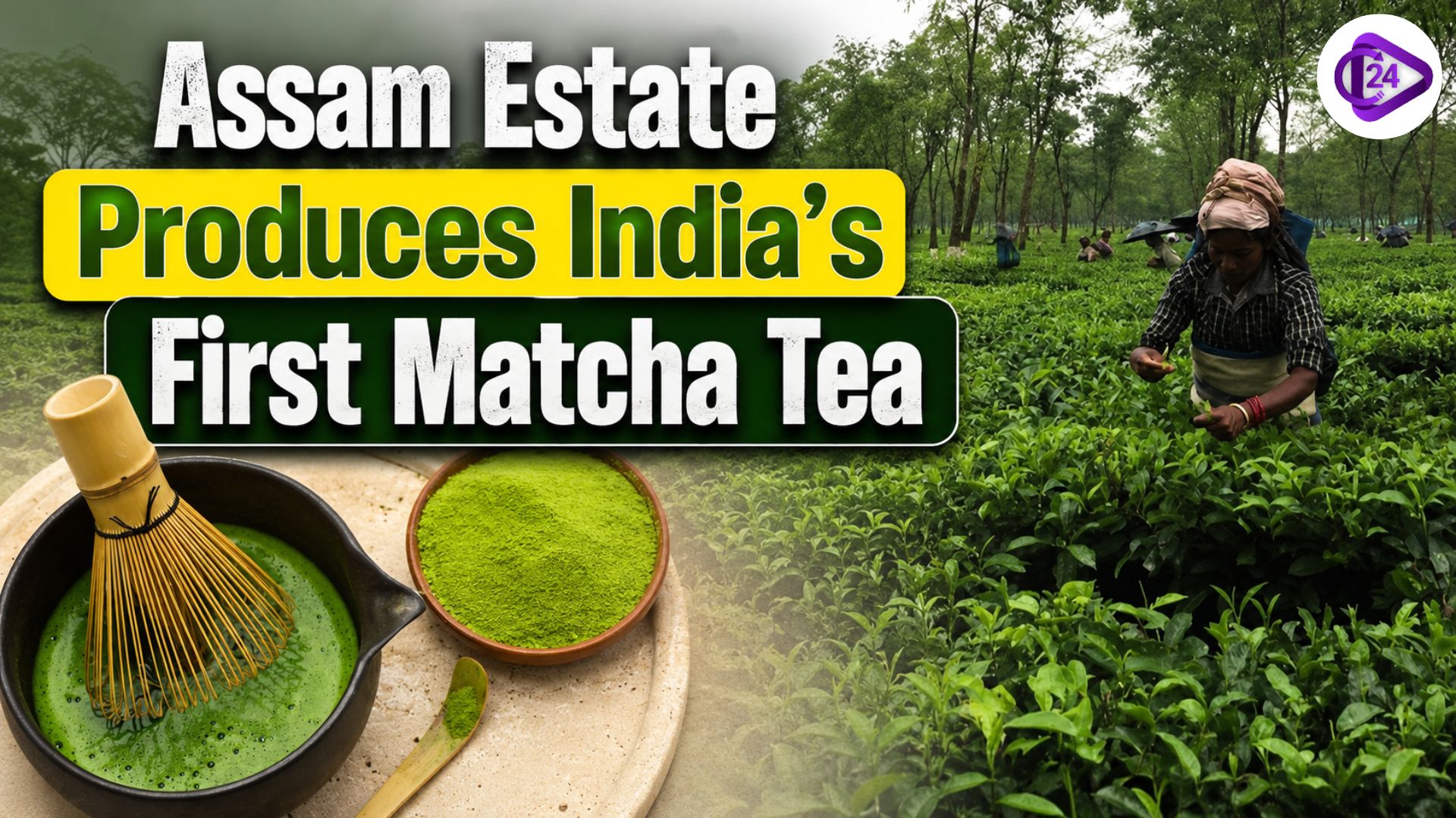 Matcha Tea