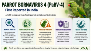 Parrot Bornavirus