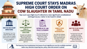 Cow Slaughter