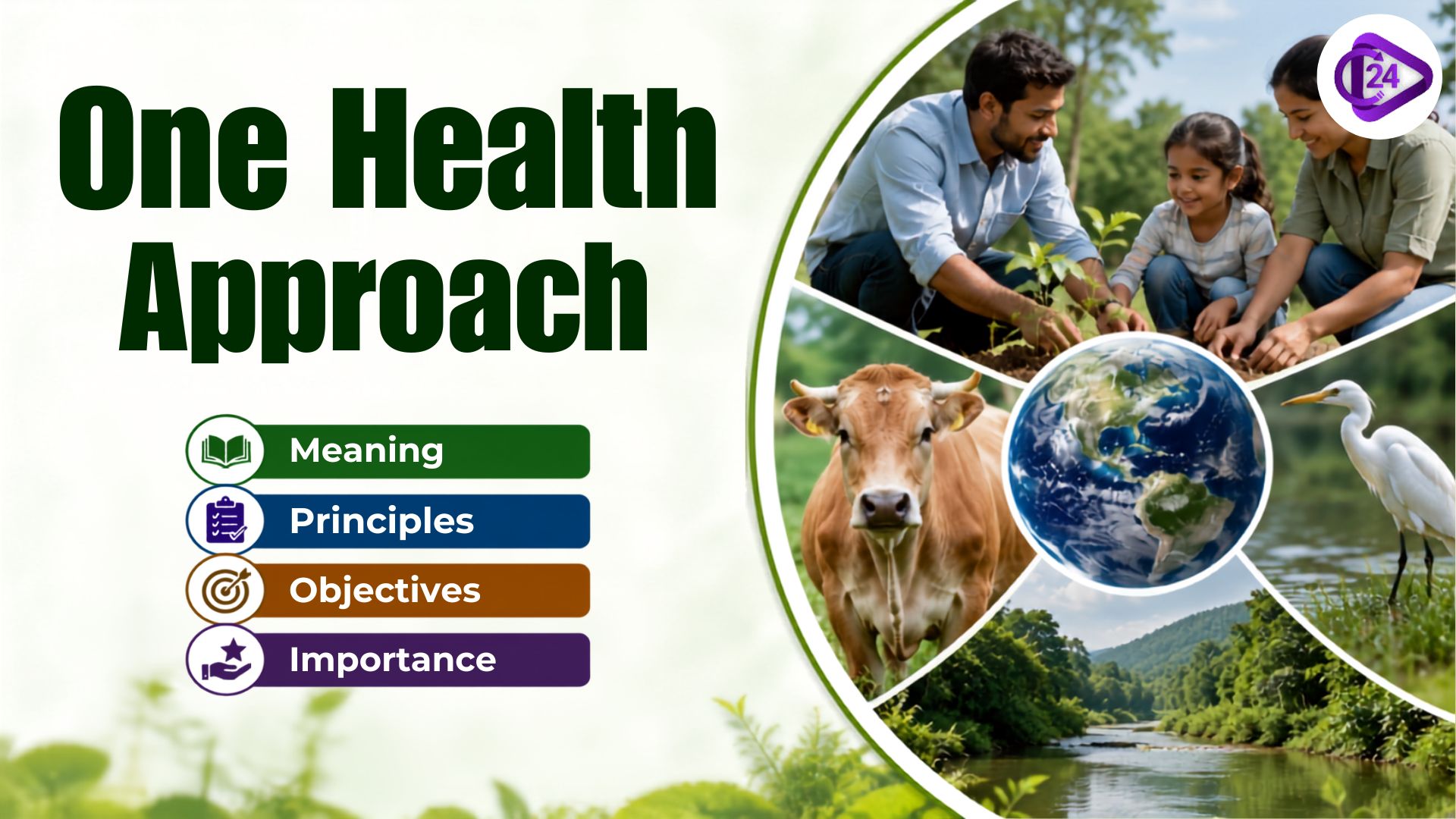 One Health Approach