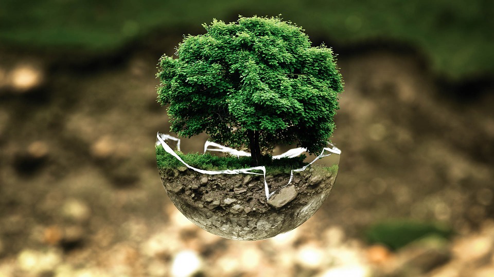 Children at Risk from Environmental Hazards