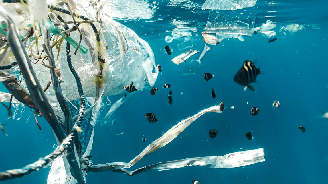 Global Plastic Pollution Treaty