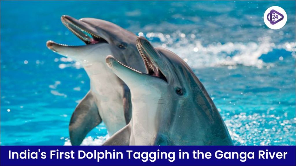 India Tags First Ganges River Dolphin
