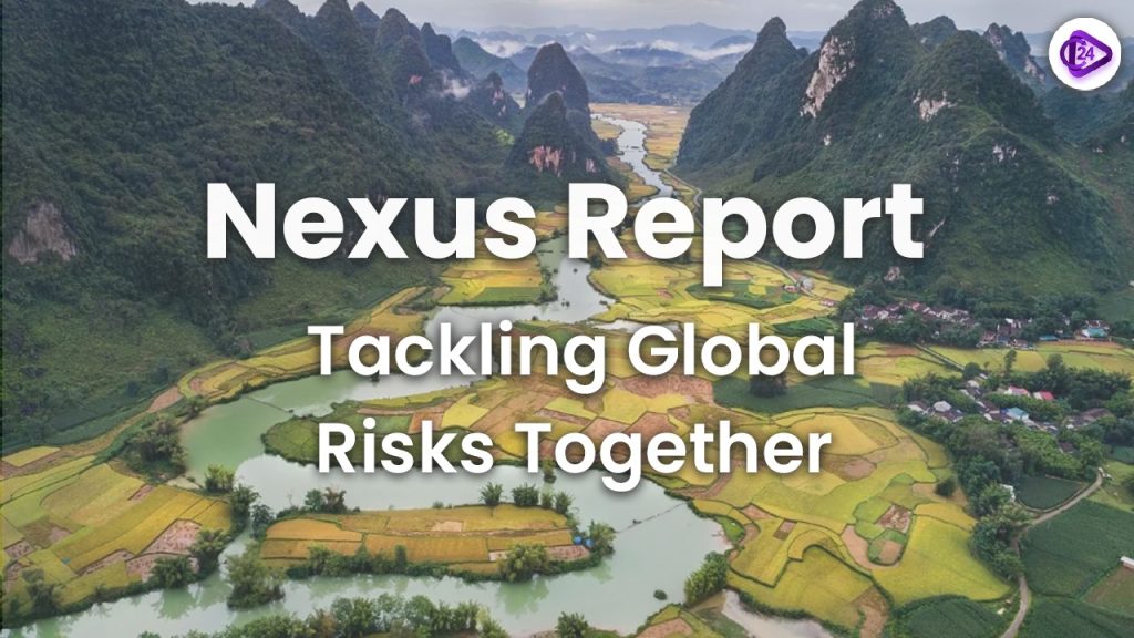 Nexus Report